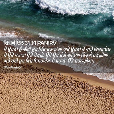Picture 02 - ਹਿਜ਼ਕੀਏਲ 34:14 PANIRV - ਮੈਂ ਉਹਨਾਂ ਨੂੰ ਚੰਗੀ - Bible Verse Picture