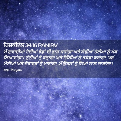 Picture 02 - ਹਿਜ਼ਕੀਏਲ 34:16 PANIRV - ਮੈਂ ਗਵਾਚੀਆਂ ਹੋਈਆਂ - Bible Verse Picture