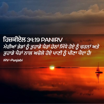 Picture 02 - ਹਿਜ਼ਕੀਏਲ 34:19 PANIRV - ਮੇਰੀਆਂ ਭੇਡਾਂ ਨੂੰ - Bible Verse Picture