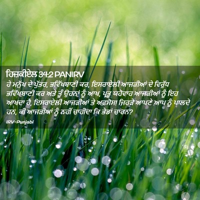 Picture 02 - ਹਿਜ਼ਕੀਏਲ 34:2 PANIRV - ਹੇ ਮਨੁੱਖ ਦੇ ਪੁੱਤਰ, - Bible Verse Picture