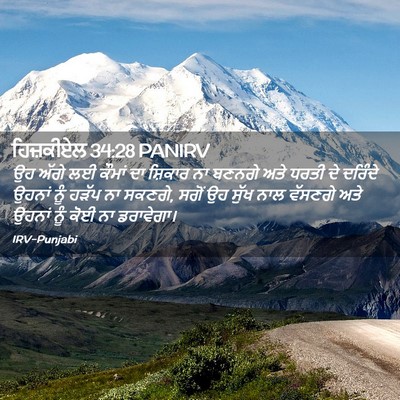 Picture 02 - ਹਿਜ਼ਕੀਏਲ 34:28 PANIRV - ਉਹ ਅੱਗੇ ਲਈ ਕੌਮਾਂ ਦਾ - Bible Verse Picture
