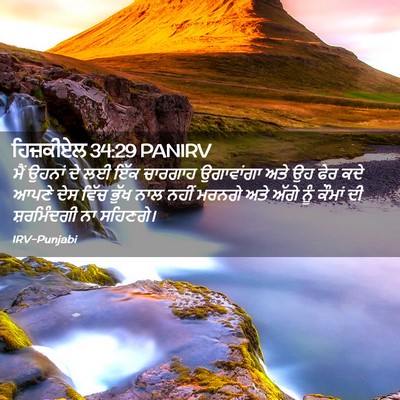 Picture 02 - ਹਿਜ਼ਕੀਏਲ 34:29 PANIRV - ਮੈਂ ਉਹਨਾਂ ਦੇ ਲਈ ਇੱਕ - Bible Verse Picture