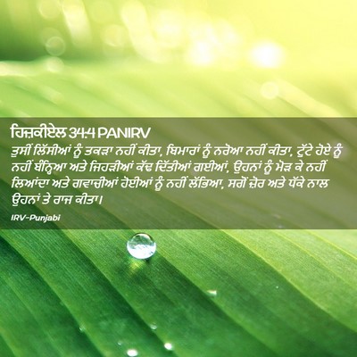 Picture 02 - ਹਿਜ਼ਕੀਏਲ 34:4 PANIRV - ਤੁਸੀਂ ਲਿੱਸੀਆਂ ਨੂੰ - Bible Verse Picture