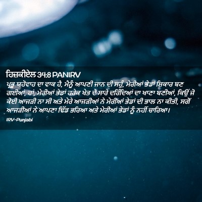 Picture 02 - ਹਿਜ਼ਕੀਏਲ 34:8 PANIRV - ਪ੍ਰਭੂ ਯਹੋਵਾਹ ਦਾ - Bible Verse Picture