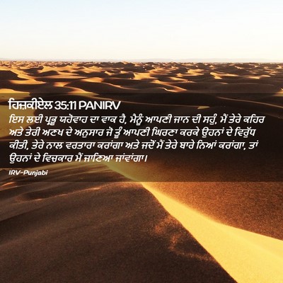 Picture 02 - ਹਿਜ਼ਕੀਏਲ 35:11 PANIRV - ਇਸ ਲਈ ਪ੍ਰਭੂ ਯਹੋਵਾਹ - Bible Verse Picture