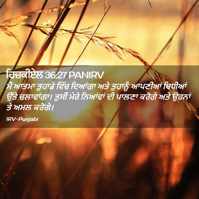Picture 02 - ਹਿਜ਼ਕੀਏਲ 36:27 PANIRV - ਮੈਂ ਆਤਮਾ ਤੁਹਾਡੇ - Bible Verse Picture
