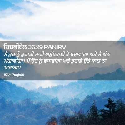 Picture 02 - ਹਿਜ਼ਕੀਏਲ 36:29 PANIRV - ਮੈਂ ਤੁਹਾਨੂੰ - Bible Verse Picture