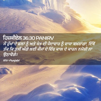 Picture 02 - ਹਿਜ਼ਕੀਏਲ 36:30 PANIRV - ਮੈਂ ਰੁੱਖਾਂ ਦੇ ਫਲਾਂ - Bible Verse Picture