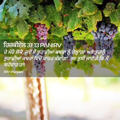 Picture 02 - ਹਿਜ਼ਕੀਏਲ 37:13 PANIRV - ਹੇ ਮੇਰੇ ਲੋਕੋ, ਜਦੋਂ - Bible Verse Picture