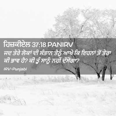 Picture 02 - ਹਿਜ਼ਕੀਏਲ 37:18 PANIRV - ਜਦ ਤੇਰੇ ਲੋਕਾਂ ਦੀ - Bible Verse Picture
