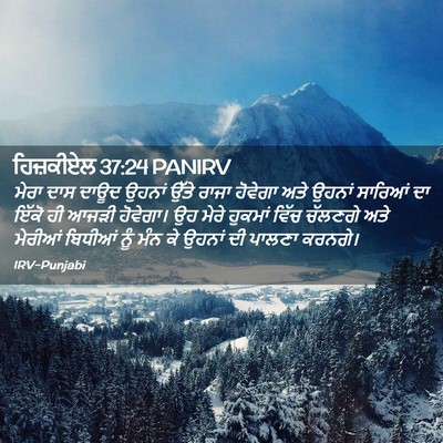 Picture 02 - ਹਿਜ਼ਕੀਏਲ 37:24 PANIRV - ਮੇਰਾ ਦਾਸ ਦਾਊਦ - Bible Verse Picture