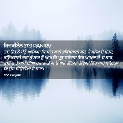 Picture 02 - ਹਿਜ਼ਕੀਏਲ 37:9 PANIRV - ਤਦ ਉਹ ਨੇ ਮੈਨੂੰ ਆਖਿਆ - Bible Verse Picture