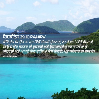 Picture 02 - ਹਿਜ਼ਕੀਏਲ 39:10 PANIRV - ਇੱਥੋਂ ਤੱਕ ਕਿ ਉਹ ਨਾ - Bible Verse Picture