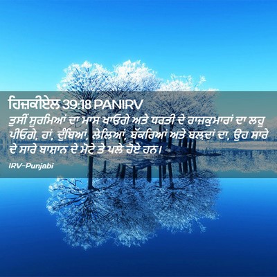 Picture 02 - ਹਿਜ਼ਕੀਏਲ 39:18 PANIRV - ਤੁਸੀਂ ਸੂਰਮਿਆਂ ਦਾ - Bible Verse Picture