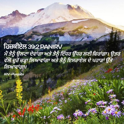 Picture 02 - ਹਿਜ਼ਕੀਏਲ 39:2 PANIRV - ਮੈਂ ਤੈਨੂੰ ਉਲਟਾ - Bible Verse Picture