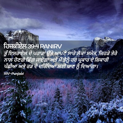 Picture 02 - ਹਿਜ਼ਕੀਏਲ 39:4 PANIRV - ਤੂੰ ਇਸਰਾਏਲ ਦੇ - Bible Verse Picture