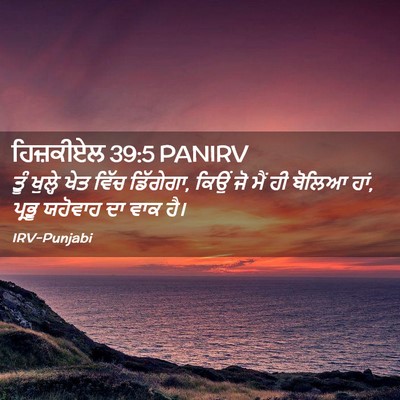 Picture 02 - ਹਿਜ਼ਕੀਏਲ 39:5 PANIRV - ਤੂੰ ਖੁਲ੍ਹੇ ਖੇਤ - Bible Verse Picture