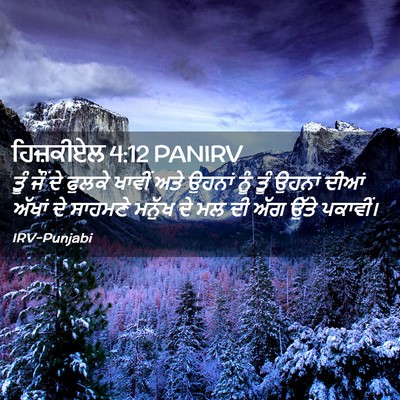 Picture 02 - ਹਿਜ਼ਕੀਏਲ 4:12 PANIRV - ਤੂੰ ਜੌਂ ਦੇ ਫੁਲਕੇ - Bible Verse Picture