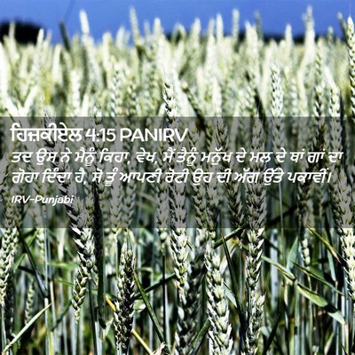 Picture 02 - ਹਿਜ਼ਕੀਏਲ 4:15 PANIRV - ਤਦ ਉਸ ਨੇ ਮੈਨੂੰ - Bible Verse Picture