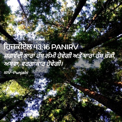 Picture 02 - ਹਿਜ਼ਕੀਏਲ 43:16 PANIRV - ਜਗਵੇਦੀ ਬਾਰਾਂ ਹੱਥ - Bible Verse Picture
