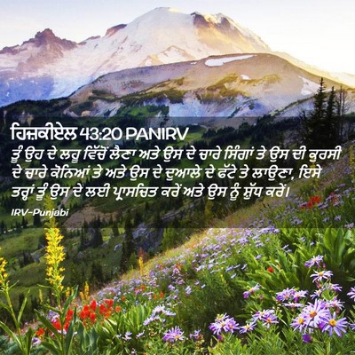 Picture 02 - ਹਿਜ਼ਕੀਏਲ 43:20 PANIRV - ਤੂੰ ਉਹ ਦੇ ਲਹੂ - Bible Verse Picture