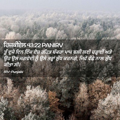 Picture 02 - ਹਿਜ਼ਕੀਏਲ 43:22 PANIRV - ਤੂੰ ਦੂਜੇ ਦਿਨ ਇੱਕ - Bible Verse Picture