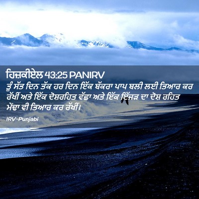 Picture 02 - ਹਿਜ਼ਕੀਏਲ 43:25 PANIRV - ਤੂੰ ਸੱਤ ਦਿਨ ਤੱਕ ਹਰ - Bible Verse Picture