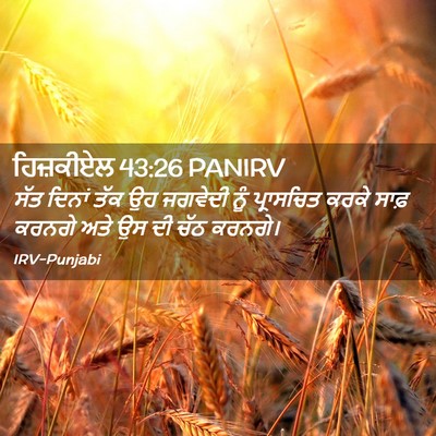 Picture 02 - ਹਿਜ਼ਕੀਏਲ 43:26 PANIRV - ਸੱਤ ਦਿਨਾਂ ਤੱਕ ਉਹ - Bible Verse Picture