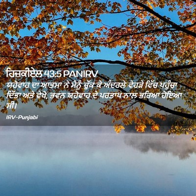 Picture 02 - ਹਿਜ਼ਕੀਏਲ 43:5 PANIRV - ਯਹੋਵਾਹ ਦਾ ਆਤਮਾ ਨੇ - Bible Verse Picture