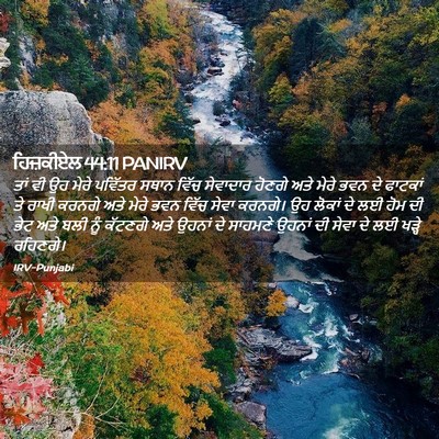 Picture 02 - ਹਿਜ਼ਕੀਏਲ 44:11 PANIRV - ਤਾਂ ਵੀ ਉਹ ਮੇਰੇ - Bible Verse Picture