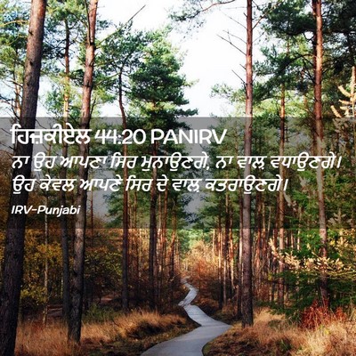 Picture 02 - ਹਿਜ਼ਕੀਏਲ 44:20 PANIRV - ਨਾ ਉਹ ਆਪਣਾ ਸਿਰ - Bible Verse Picture
