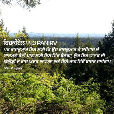 Picture 02 - ਹਿਜ਼ਕੀਏਲ 44:3 PANIRV - ਪਰ ਰਾਜਕੁਮਾਰ ਇਸ ਲਈ - Bible Verse Picture