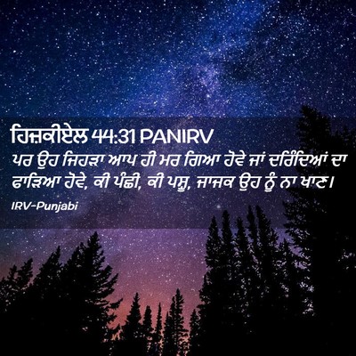 Picture 02 - ਹਿਜ਼ਕੀਏਲ 44:31 PANIRV - ਪਰ ਉਹ ਜਿਹੜਾ ਆਪ ਹੀ - Bible Verse Picture