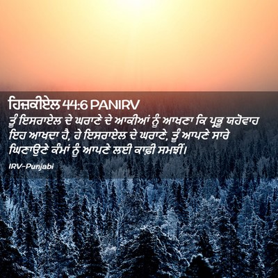 Picture 02 - ਹਿਜ਼ਕੀਏਲ 44:6 PANIRV - ਤੂੰ ਇਸਰਾਏਲ ਦੇ - Bible Verse Picture