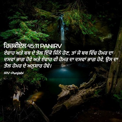 Picture 02 - ਹਿਜ਼ਕੀਏਲ 45:11 PANIRV - ਏਫਾਹ ਅਤੇ ਬਥ ਦੇ ਤੋਲ - Bible Verse Picture
