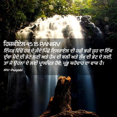 Picture 02 - ਹਿਜ਼ਕੀਏਲ 45:15 PANIRV - ਇੱਜੜ ਵਿੱਚੋਂ ਹਰ ਦੇ - Bible Verse Picture