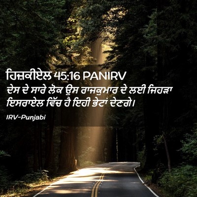 Picture 02 - ਹਿਜ਼ਕੀਏਲ 45:16 PANIRV - ਦੇਸ ਦੇ ਸਾਰੇ ਲੋਕ ਉਸ - Bible Verse Picture