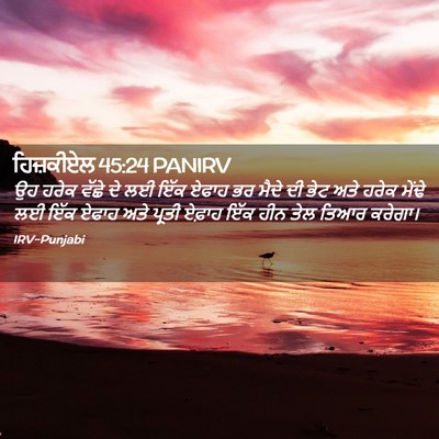 Picture 02 - ਹਿਜ਼ਕੀਏਲ 45:24 PANIRV - ਉਹ ਹਰੇਕ ਵੱਛੇ ਦੇ ਲਈ - Bible Verse Picture
