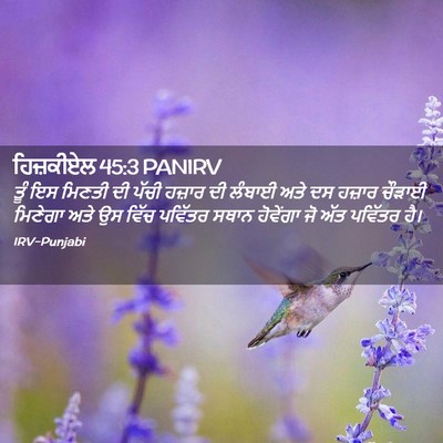 Picture 02 - ਹਿਜ਼ਕੀਏਲ 45:3 PANIRV - ਤੂੰ ਇਸ ਮਿਣਤੀ ਦੀ - Bible Verse Picture