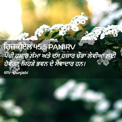 Picture 02 - ਹਿਜ਼ਕੀਏਲ 45:5 PANIRV - ਪੱਚੀ ਹਜ਼ਾਰ ਲੰਮਾ - Bible Verse Picture