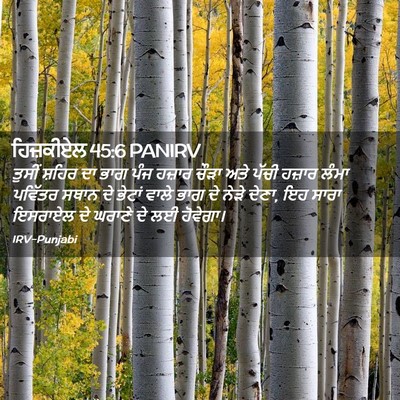 Picture 02 - ਹਿਜ਼ਕੀਏਲ 45:6 PANIRV - ਤੁਸੀਂ ਸ਼ਹਿਰ ਦਾ ਭਾਗ - Bible Verse Picture
