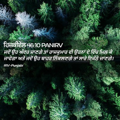 Picture 02 - ਹਿਜ਼ਕੀਏਲ 46:10 PANIRV - ਜਦੋਂ ਉਹ ਅੰਦਰ ਜਾਣਗੇ - Bible Verse Picture