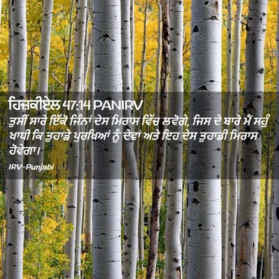 Picture 02 - ਹਿਜ਼ਕੀਏਲ 47:14 PANIRV - ਤੁਸੀਂ ਸਾਰੇ ਇੱਕੋ - Bible Verse Picture