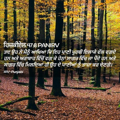 Picture 02 - ਹਿਜ਼ਕੀਏਲ 47:8 PANIRV - ਤਦ ਉਹ ਨੇ ਮੈਨੂੰ ਆਖਿਆ - Bible Verse Picture
