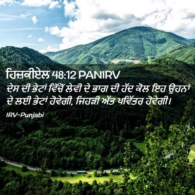 Picture 02 - ਹਿਜ਼ਕੀਏਲ 48:12 PANIRV - ਦੇਸ ਦੀ ਭੇਟਾਂ - Bible Verse Picture