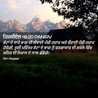 Picture 02 - ਹਿਜ਼ਕੀਏਲ 48:20 PANIRV - ਭੇਟਾਂ ਦੇ ਸਾਰੇ ਭਾਗ - Bible Verse Picture