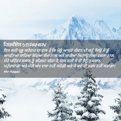 Picture 02 - ਹਿਜ਼ਕੀਏਲ 5:11 PANIRV - ਇਸ ਲਈ ਪ੍ਰਭੂ ਯਹੋਵਾਹ - Bible Verse Picture