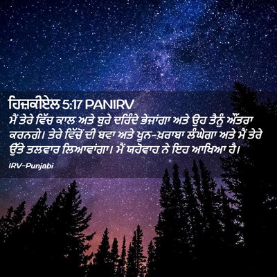 Picture 02 - ਹਿਜ਼ਕੀਏਲ 5:17 PANIRV - ਮੈਂ ਤੇਰੇ ਵਿੱਚ ਕਾਲ - Bible Verse Picture