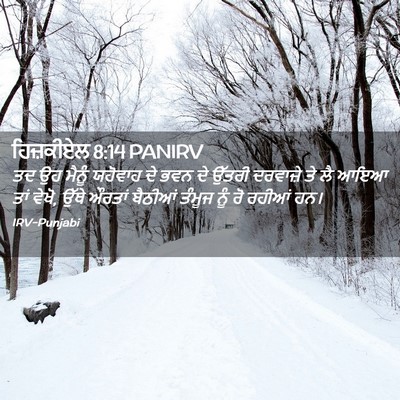 Picture 02 - ਹਿਜ਼ਕੀਏਲ 8:14 PANIRV - ਤਦ ਉਹ ਮੈਨੂੰ ਯਹੋਵਾਹ - Bible Verse Picture