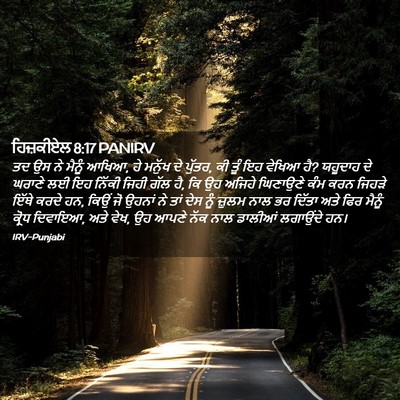 Picture 02 - ਹਿਜ਼ਕੀਏਲ 8:17 PANIRV - ਤਦ ਉਸ ਨੇ ਮੈਨੂੰ - Bible Verse Picture